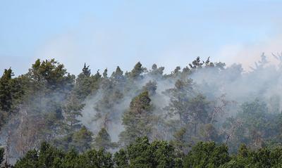 Waldbrand in Wendelstein , Zahlreiche Feuerwehr im Einsatz , in Wendelstein , Bayern , Deutschland . Juni 24, 2025 . Pho-stock-foto