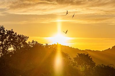 Sonnenaufgang ?ber dem Siebengebirge 24.06.2025-stock-foto
