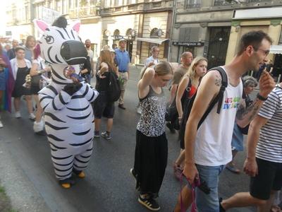 Hungarians and lgbt supporters protest hungary's new anti lgbt+ law in front of parliament.-stock-photo