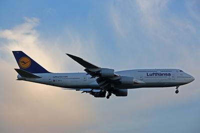 Sonnenaufgang am Flughafen Frankfurt a.M., ein Flugzeug der Lufthansa Boeing 747-830 Kennung D-ABYJ landet in der Morge-stock-foto