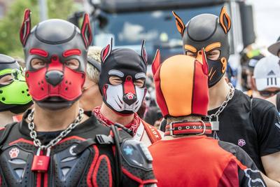 CSD 2025, gro?e Politparade, Pet Player, Puppy Player mit Hundemasken, M?nchen, 28. Juni 2025-stock-photo