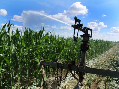 u.B.z. Beregnungsanlage auf einem Maisfeld wird vom Landwirt umgestellt. Beregnung umstellen *** u B z Irrigation syste-stock-foto