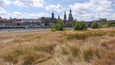 Deutschland droht in den n?chsten Tagen eine markante Hitzewelle. Bis knapp 40 °C sind m?glich. Schon jetzt ?chzt Deuts-stock-foto