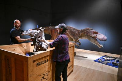 Internationally acclaimed interactive dinosaur exhibition.-stock-photo