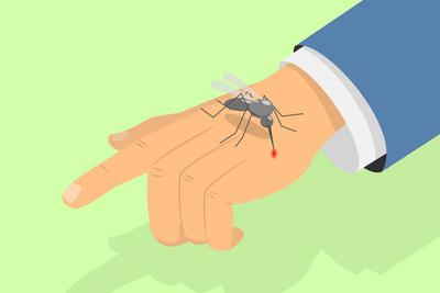 3D Isometrische flache konzeptionelle Illustration von M?ckenstich, Blut saugende Insekten<br>3D-Isometrische flache konzeptionelle Illustration von Misquito Bite, Blut saugende Insekten-stock-foto