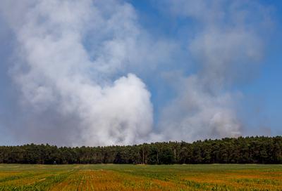 Waldbrand bei Babben-stock-foto
