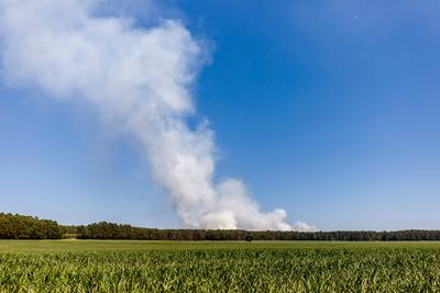 Waldbrand bei Babben-stock-foto