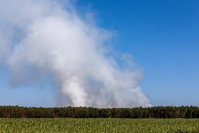 Waldbrand bei Babben-stock-foto