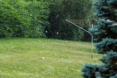 Hagelk?rner fliegen w?hrend eines Hagelschauers in einen Garten. Rottweil Baden-W?rttemberg Deutschland *** Hailstones f-stock-foto
