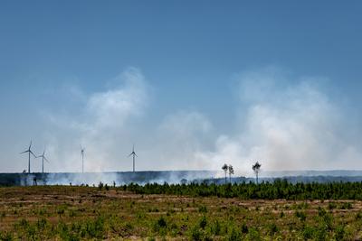 Waldbrand Frohnsdorf-stock-foto