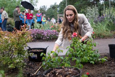 Kate Middleton in Colchester-stock-photo
