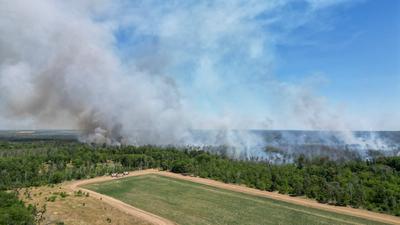 Zeithain - Waldbrand in Gohrischheide: Feuer breitet sich weiter nach Brandenburg aus-stock-foto
