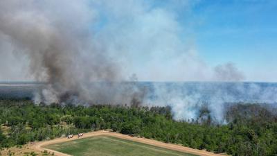 Zeithain - Waldbrand in Gohrischheide: Feuer breitet sich weiter nach Brandenburg aus-stock-foto