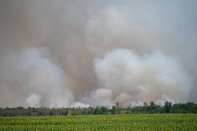 Zeithain - Waldbrand in Gohrischheide: Feuer breitet sich weiter nach Brandenburg aus-stock-foto