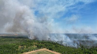 Zeithain - Waldbrand in Gohrischheide: Feuer breitet sich weiter nach Brandenburg aus-stock-foto