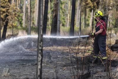 Brand auf Saalfelder Hoehe in Thueringen-stock-foto