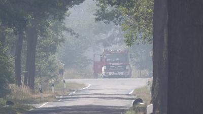 Der Wald brennt in der Chorischen Gohrischheide weiter. Mittlerweile hat Landrat Ralf H?nsel einen Riegel davor geschobe-stock-foto