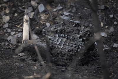 Brand auf Saalfelder Hoehe in Thuerigen-stock-foto