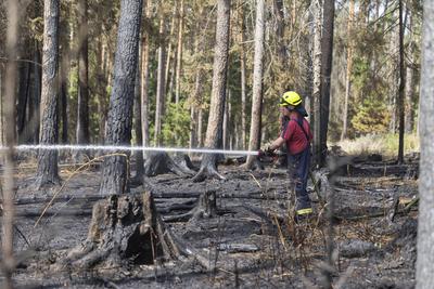 Brand auf Saalfelder Hoehe in Thueringen-stock-foto