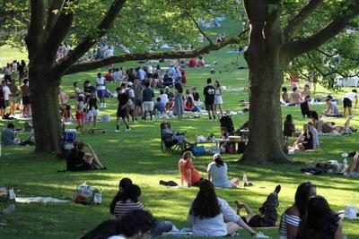 4th of july independence day celebrated at central park great lawn.-stock-foto