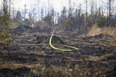 Brand auf Saalfelder Hoehe in Thuerigen-stock-foto