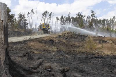 Brand auf Saalfelder Hoehe in Thueringen-stock-foto
