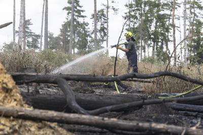 Brand auf Saalfelder Hoehe in Thueringen-stock-foto