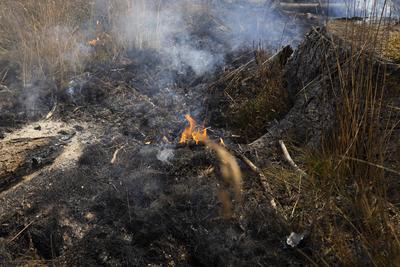 Brand auf Saalfelder Hoehe in Thuerigen-stock-foto