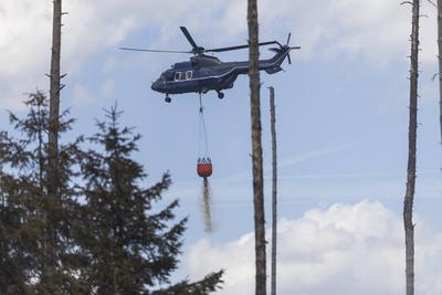 Brand auf Saalfelder Hoehe in Thuerigen-stock-foto
