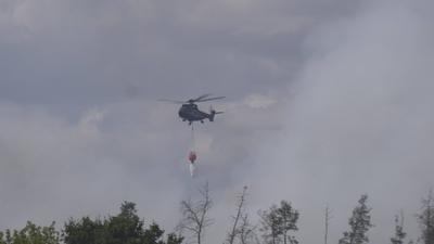 Der Wald brennt in der Chorischen Gohrischheide weiter. Mittlerweile hat Landrat Ralf H?nsel einen Riegel davor geschobe-stock-foto