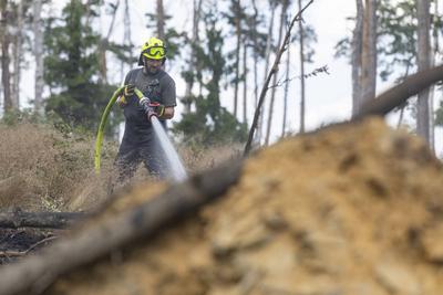 Brand auf Saalfelder Hoehe in Thueringen-stock-foto