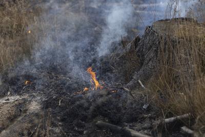 Brand auf Saalfelder Hoehe in Thuerigen-stock-foto