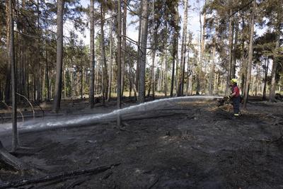 Brand auf Saalfelder Hoehe in Thueringen-stock-foto