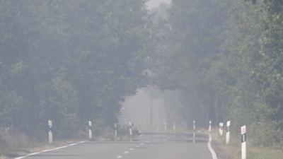 Der Wald brennt in der Chorischen Gohrischheide weiter. Mittlerweile hat Landrat Ralf H?nsel einen Riegel davor geschobe-stock-foto