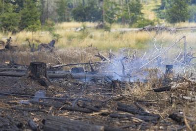 Brand auf Saalfelder Hoehe in Thuerigen-stock-foto