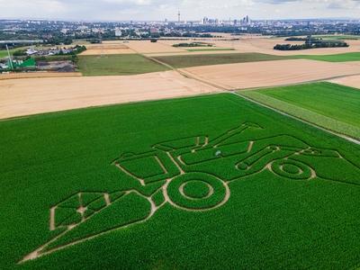 Maislabyrinth bei Frankfurt am Main-stock-photo