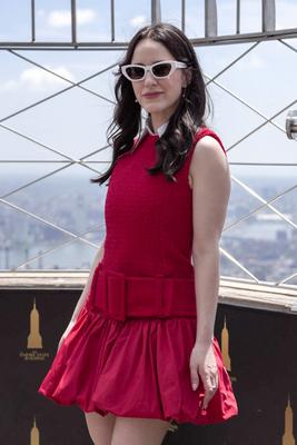 As estrelas do Superman iluminaram o Empire State Building com os melhores amigos da Animal Society-stock-foto