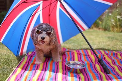 Weather, Peterborough, Cambridgeshire, on 28th June, 2025.-stock-foto
