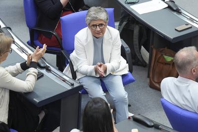 Deutscher Bundestag, 19. Plenarsitzung-stock-foto