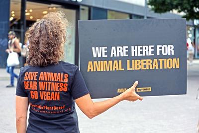 Nutztiere und Tierschutz Eine Gruppe Tiersch?tzer der Organisation ANIMAL SAVE MOVEMENT macht auf Tierleid aufmerksam un-stock-foto