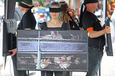 Nutztiere und Tierschutz Eine Gruppe Tiersch?tzer der Organisation ANIMAL SAVE MOVEMENT macht auf Tierleid aufmerksam un-stock-foto