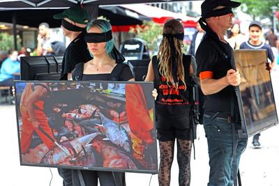 Nutztiere und Tierschutz Eine Gruppe Tiersch?tzer der Organisation ANIMAL SAVE MOVEMENT macht auf Tierleid aufmerksam un-stock-foto