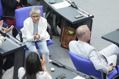 Deutscher Bundestag, 19. Plenarsitzung-stock-foto
