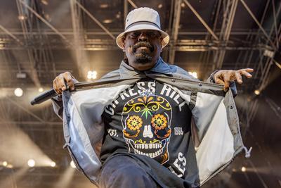 Cypress Hill - Kunst!Rasen Bonn Gronau - 08.07.2025-stock-foto
