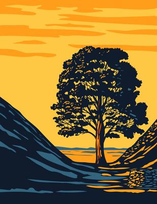 Sycamore Gap Tree in Hadrian?s Wall Country Within Northumberland National Park in North East England UK Art Deco WPA Po-stock-photo