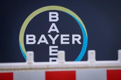 02.03.2024, Bayer AG, Die Bayer AG befindet sich im Umbau. Blick auf eine Baustellenabsperrung vor dem Research and Deve-stock-foto