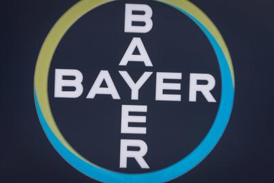 02.03.2024, Bayer AG, Die Bayer AG befindet sich im Umbau. Blick auf eine Baustellenabsperrung vor dem Research and Deve-stock-foto