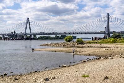 Niedrigwasser Rhein-stock-foto