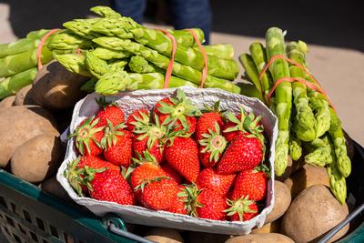 News Bilder des Tages Gro? Wittensee, 17. Mai 2021 Landwirtschaftsminister- und Digitalisierungsminister Jan-Philipp Alb-stock-photo