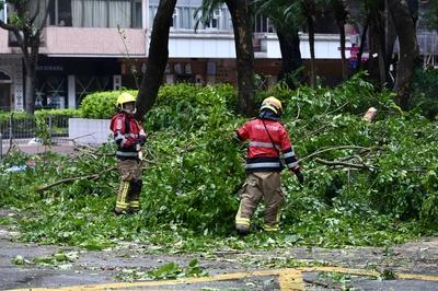 HONG KONG, CHINA - JULY 20: Firefighters clear fallen tree branches at Tsim Sha Tsui as Typhoon Wipha approaches on July-stock-foto